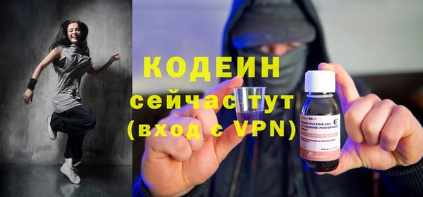 ГАЛЛЮЦИНОГЕННЫЕ ГРИБЫ Гусев