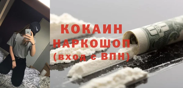 ГАЛЛЮЦИНОГЕННЫЕ ГРИБЫ Гусев