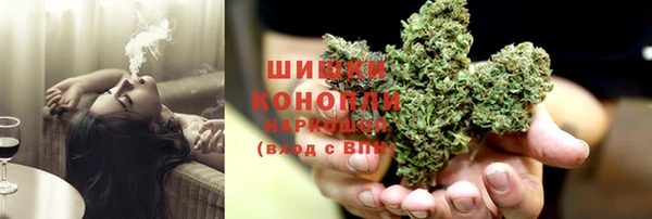 ГАЛЛЮЦИНОГЕННЫЕ ГРИБЫ Гусев