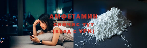 ГАЛЛЮЦИНОГЕННЫЕ ГРИБЫ Гусев