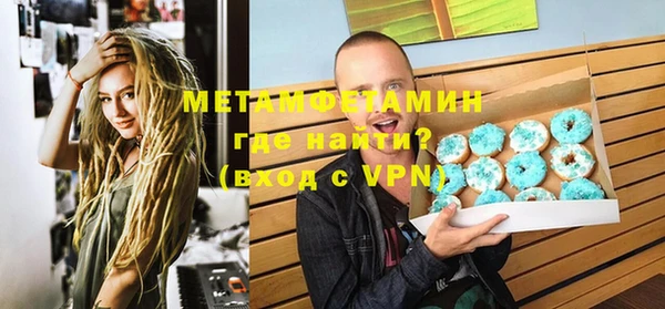 ГАЛЛЮЦИНОГЕННЫЕ ГРИБЫ Гусев