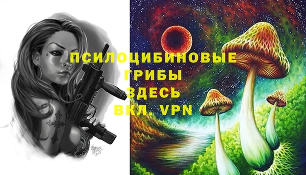 ГАЛЛЮЦИНОГЕННЫЕ ГРИБЫ Гусев